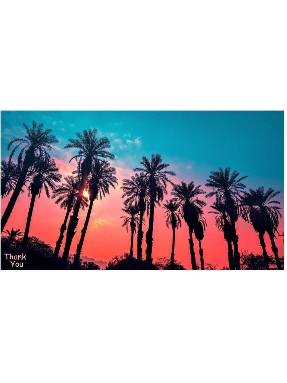 100 Qty. 10X13 Twilight Palms Poly Mailers PRICE IS FIRM - Picture 3 of 3